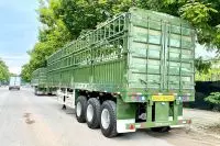 Đừng vội mua mooc cũ nếu bạn chưa xem hết video này